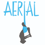 (c) Dana-aerialyoga.com